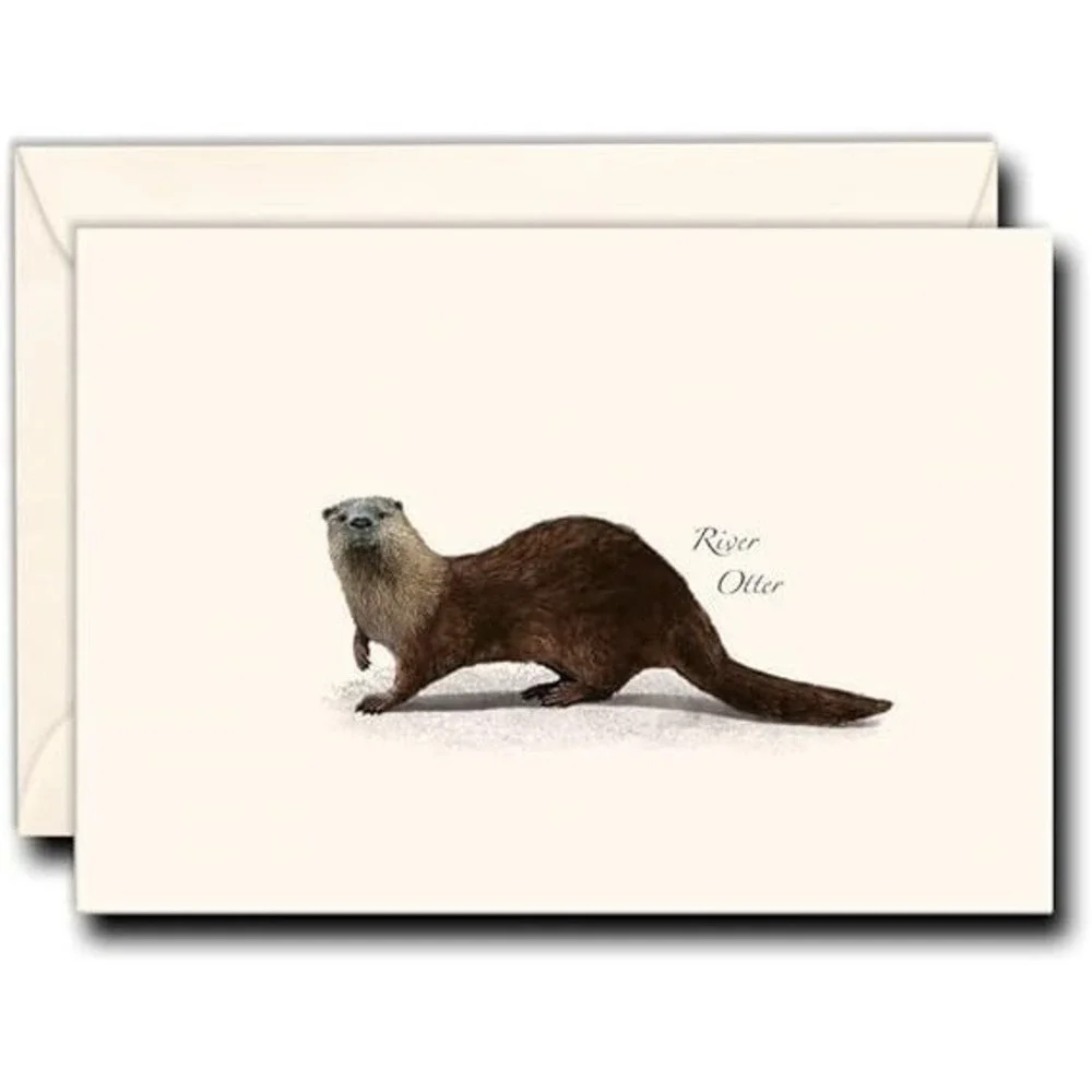 Earth Sky & Water River Otter Notecard Set 2 Pkgs of 8 Blank Cards‎ w/ Envelopes